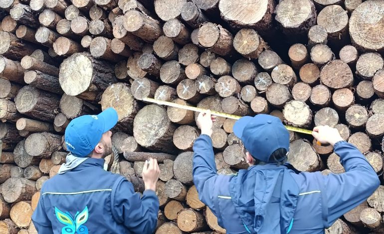  CAR impone medida preventiva a empresa de madera en Tausa por irregularidades ambientales